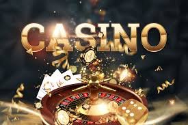 ভলিবল ম্যাচ তথ্য দেখছে bet 2026 ব্যবহারকারী